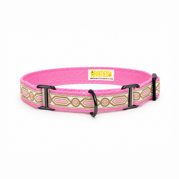 Martingale Dog Collar: Meet Cute