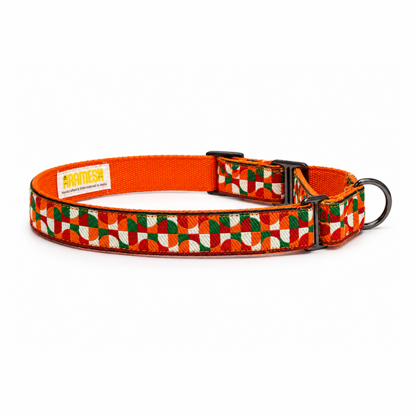 Martingale Dog Collar: Azaadi