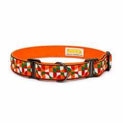 Martingale Dog Collar: Azaadi