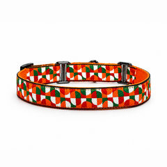 Martingale Dog Collar: Azaadi