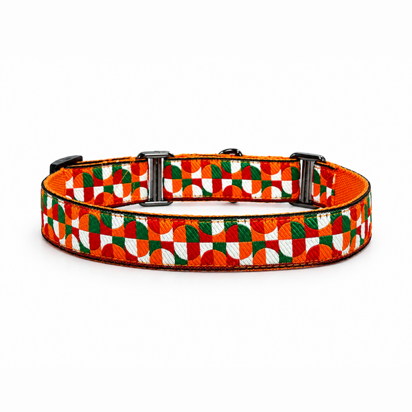 Martingale Dog Collar: Azaadi