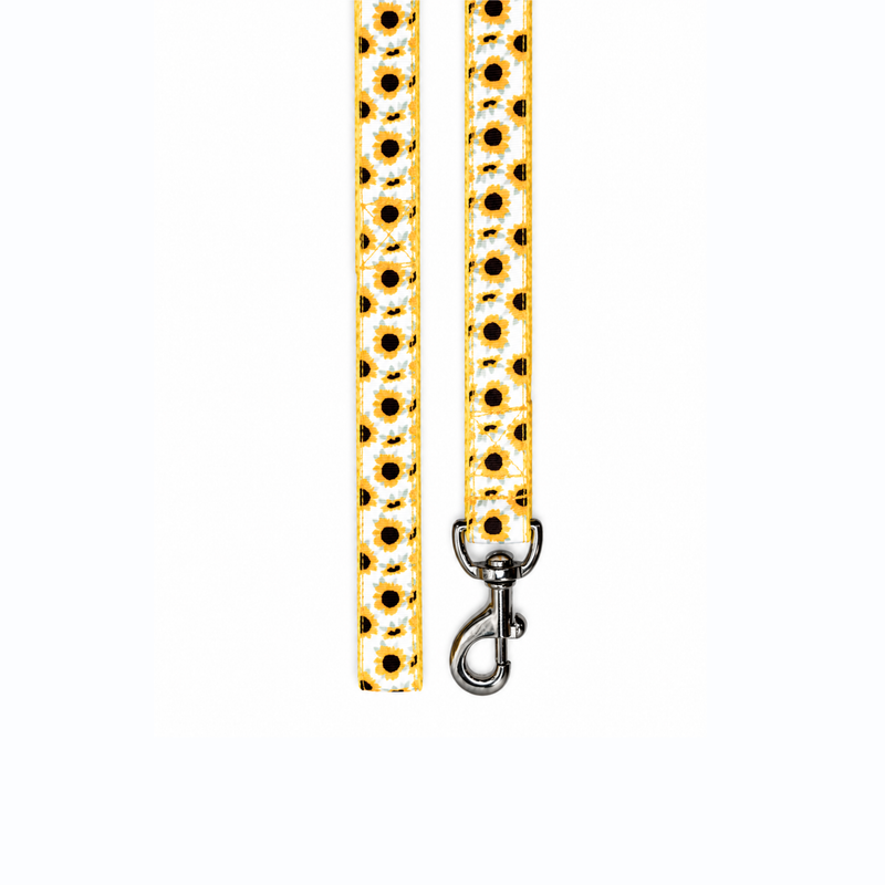 Sunny Days Dog Collar & Leash