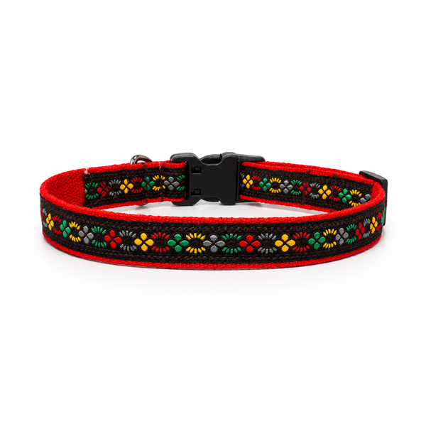 Bold Barker Dog Collar
