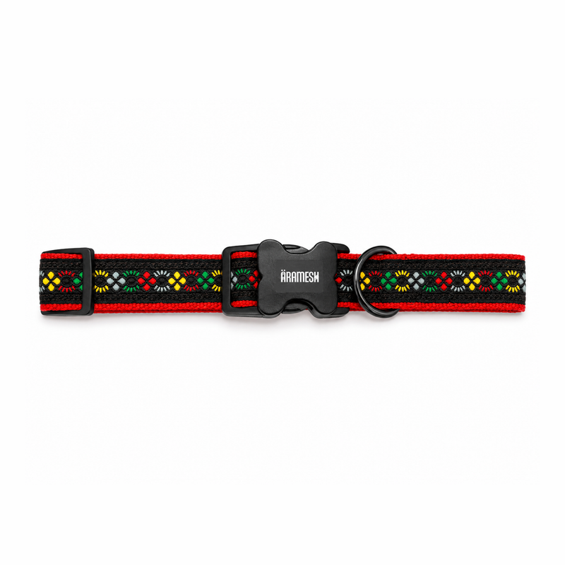Bold Barker Dog Collar