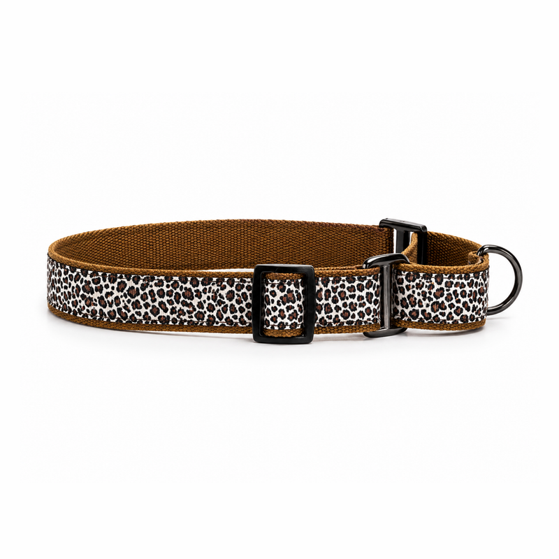 Martingale Dog Collar: The Chase