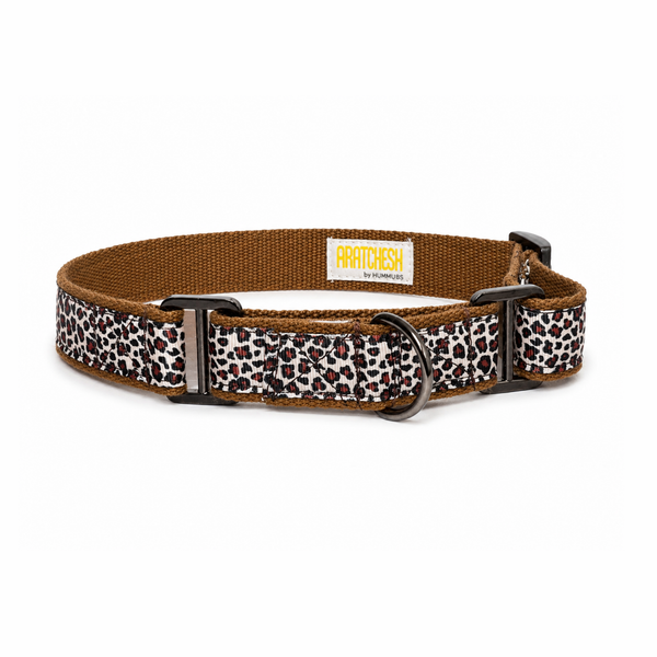 Martingale Dog Collar: The Chase