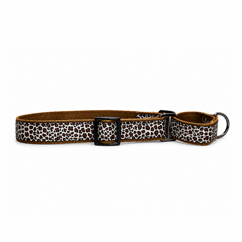 Martingale Dog Collar: The Chase