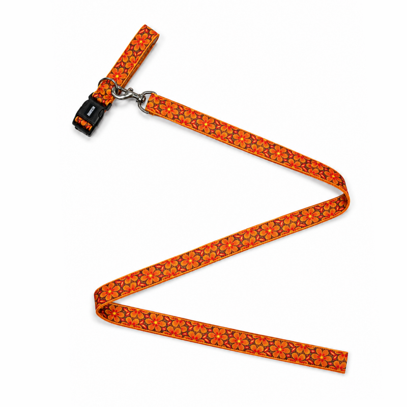Mehfil Dog Collar & Leash