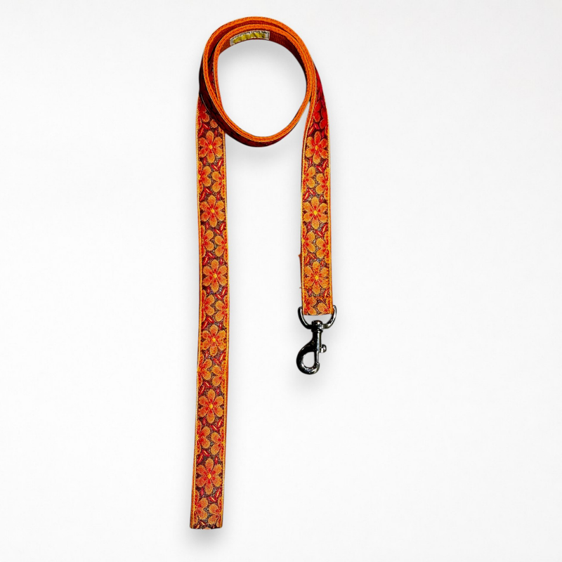Mehfil Dog Collar & Leash
