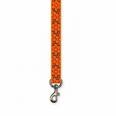 Mehfil Dog Collar & Leash