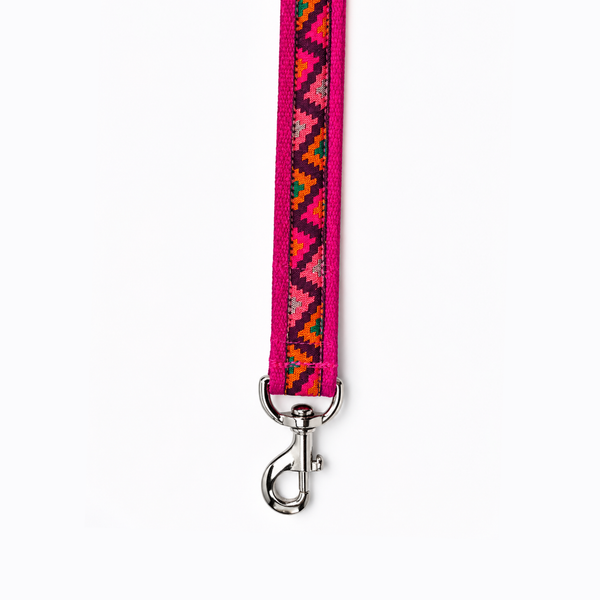 Gulaal Dog Leash