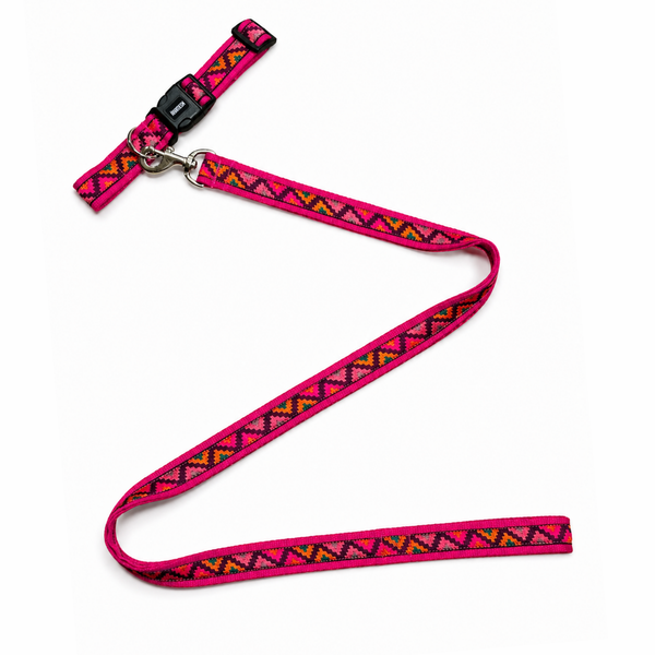 Gulaal Dog Collar & Leash