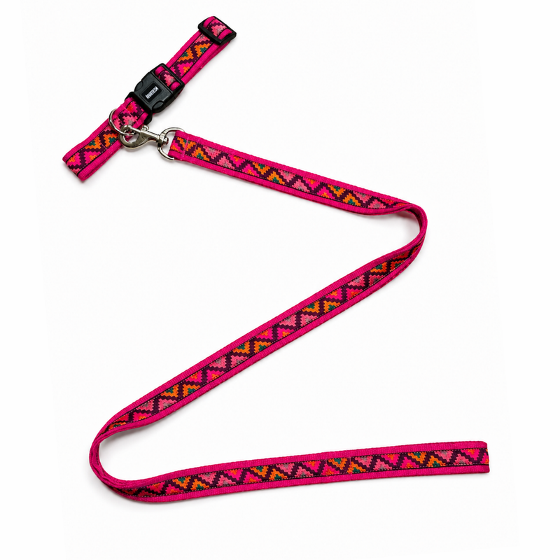 Gulaal Dog Leash