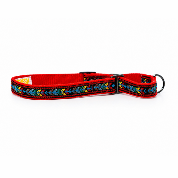 Martingale Dog Collar: Jungle Jam