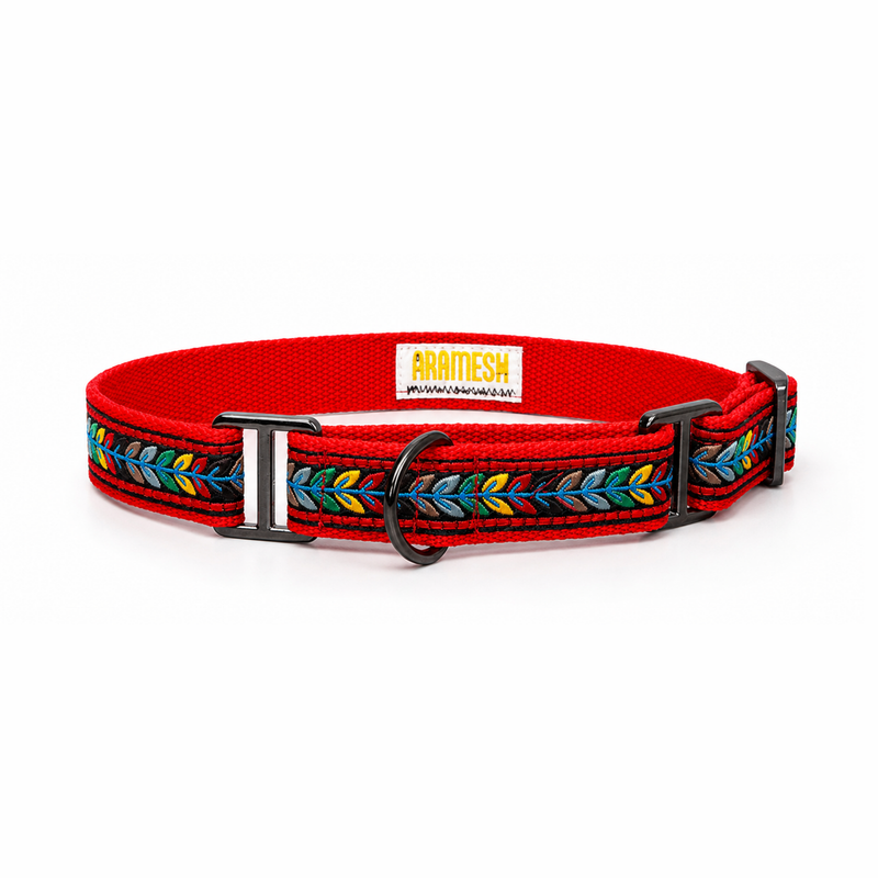 Martingale Dog Collar: Jungle Jam