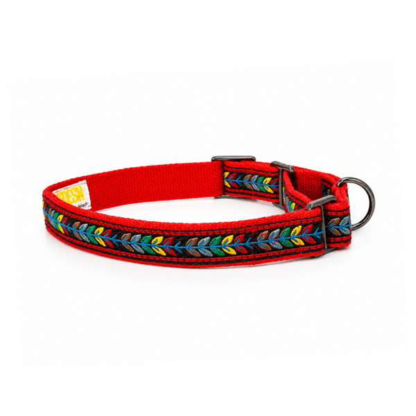 Martingale Dog Collar: Jungle Jam