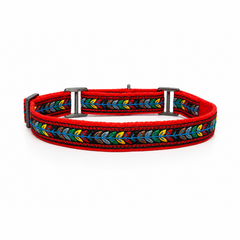 Martingale Dog Collar: Jungle Jam