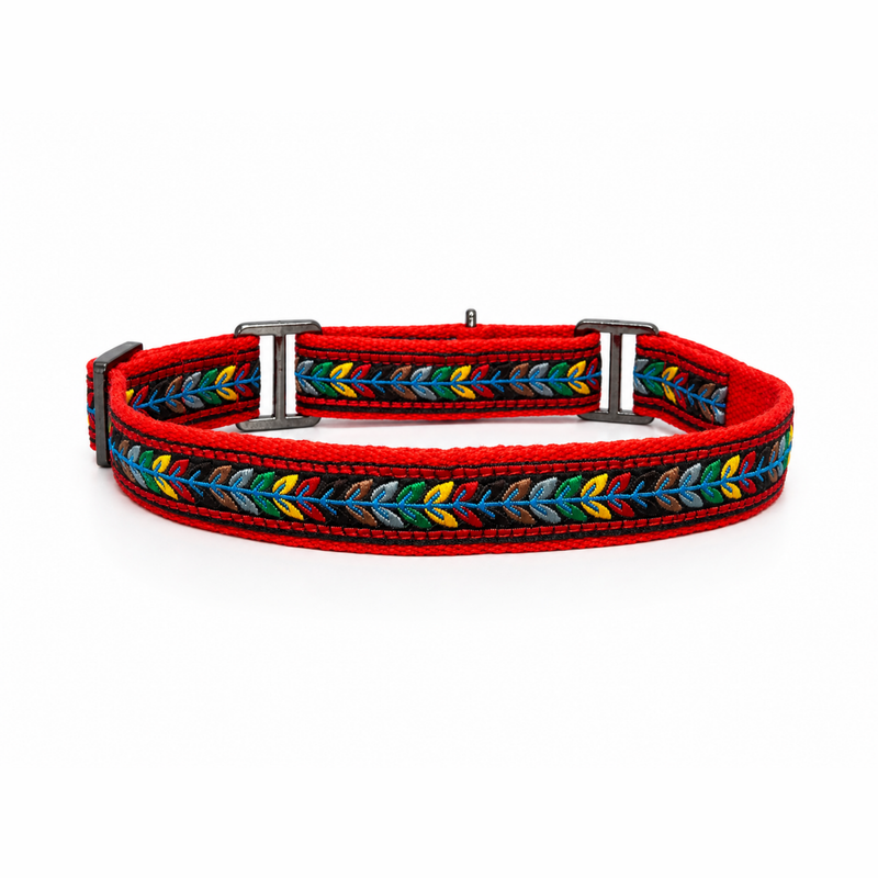 Martingale Dog Collar: Jungle Jam