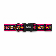 Jugnu Dog Collar