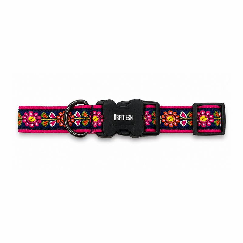 Jugnu Dog Collar
