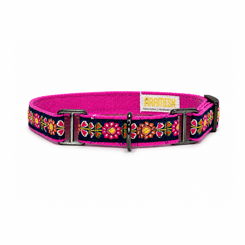 Martingale Dog Collar: Jugnu