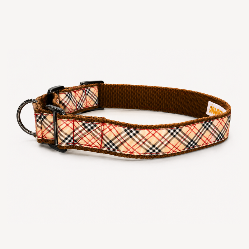 Martingale Dog Collar: Classic Plaid