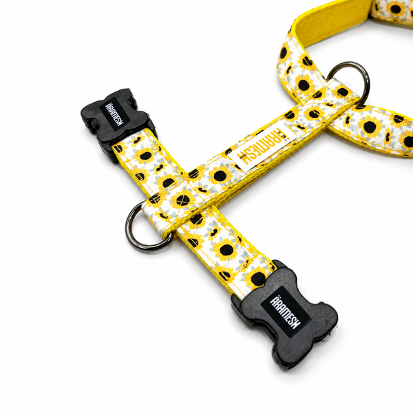 Sunny Days Body Belt