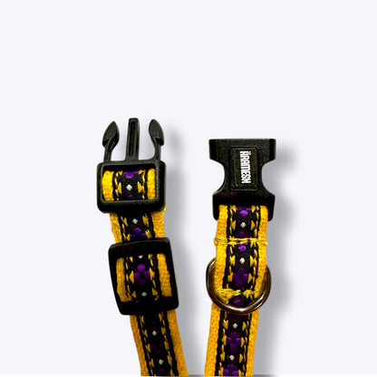 Amber Paws Cat Collar & Leash