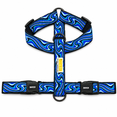 Wave Chaser Body Belt