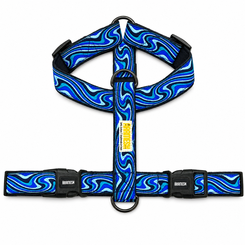 Wave Chaser Body Belt