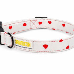 XO Dog Collar & Leash