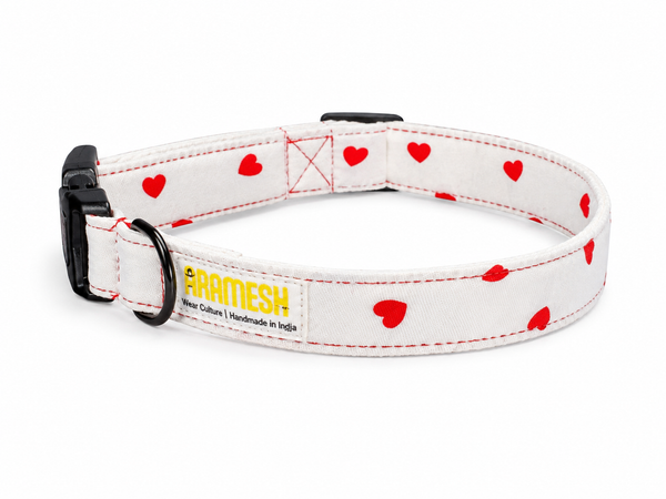 XO Dog Collar & Leash
