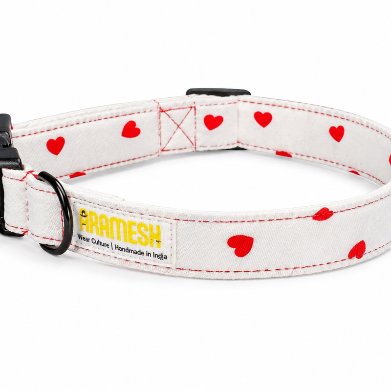 XO Dog Collar & Leash