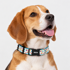 Dancing Wings Cotton Dog Collar