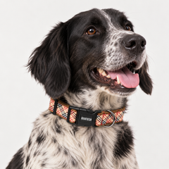 Classic Plaid Dog Collar & Leash