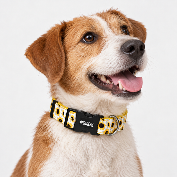Sunny Days Cotton Dog Collar