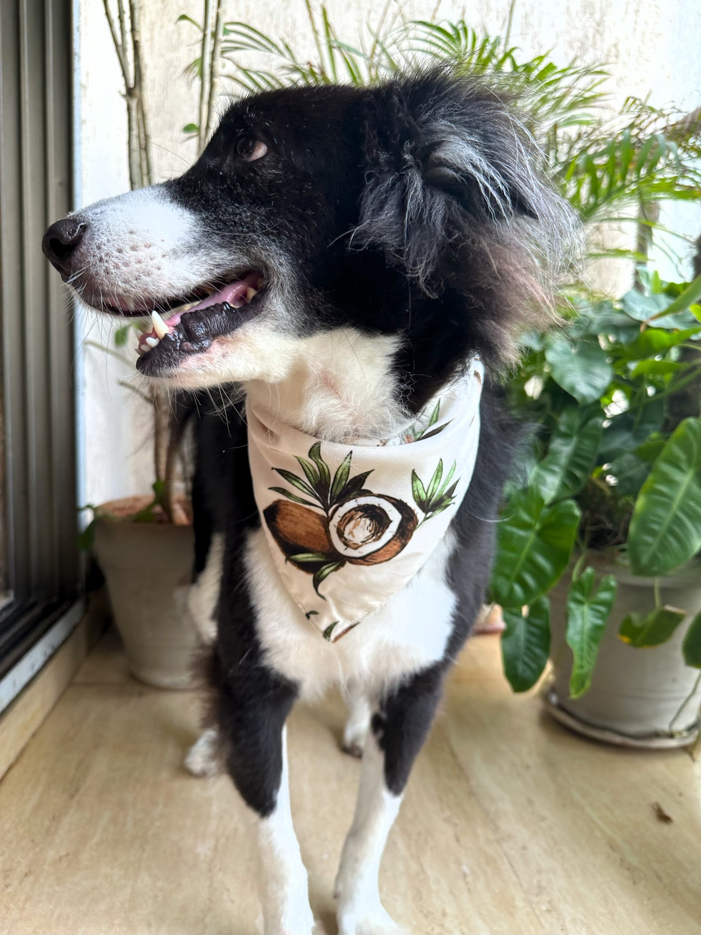 Coco Breeze Dog Bandana