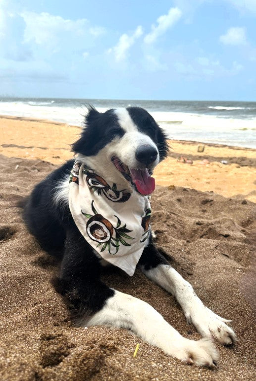 Coco Breeze Dog Bandana