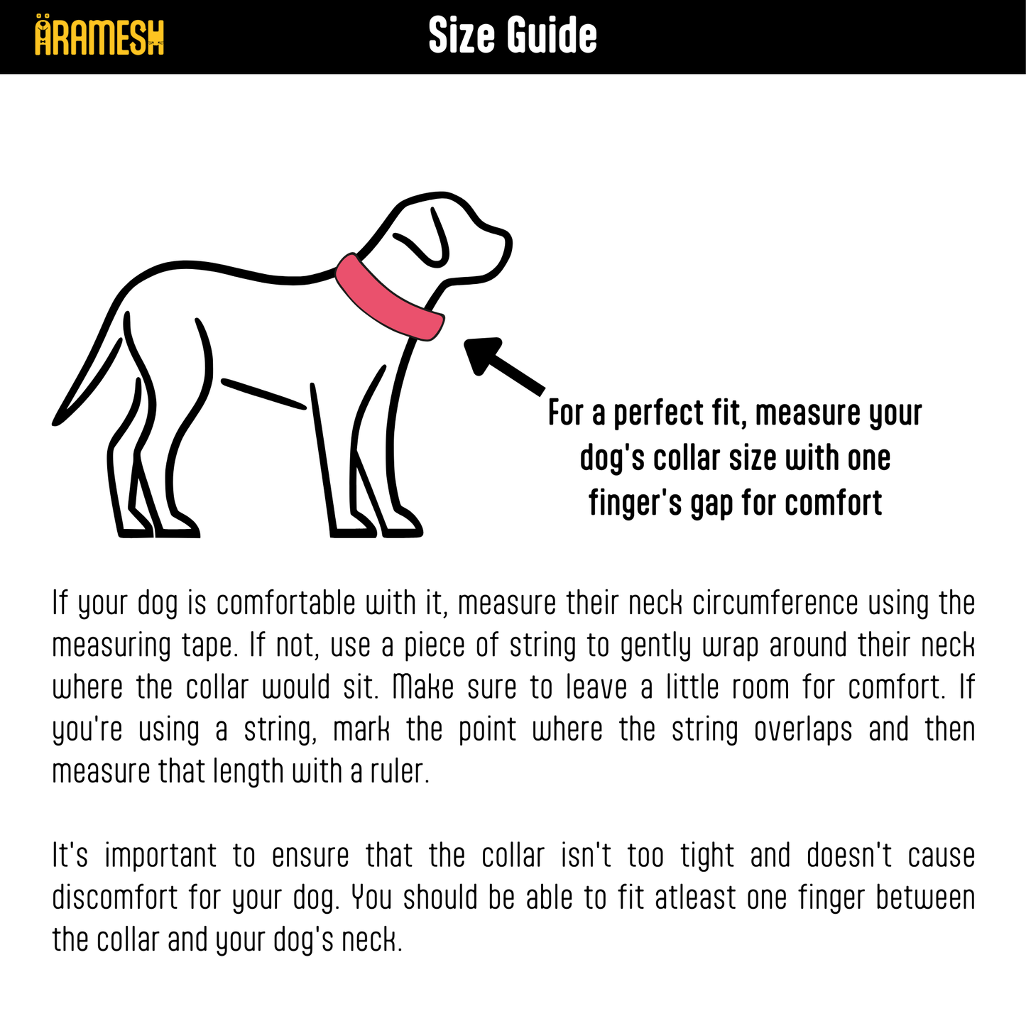 Martingale Dog Collar: Sunshine Mist
