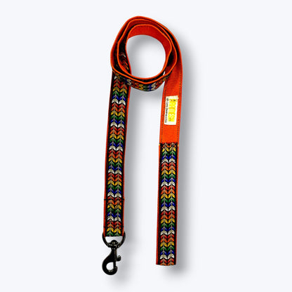 Colourful Trails Dog Collar & Leash