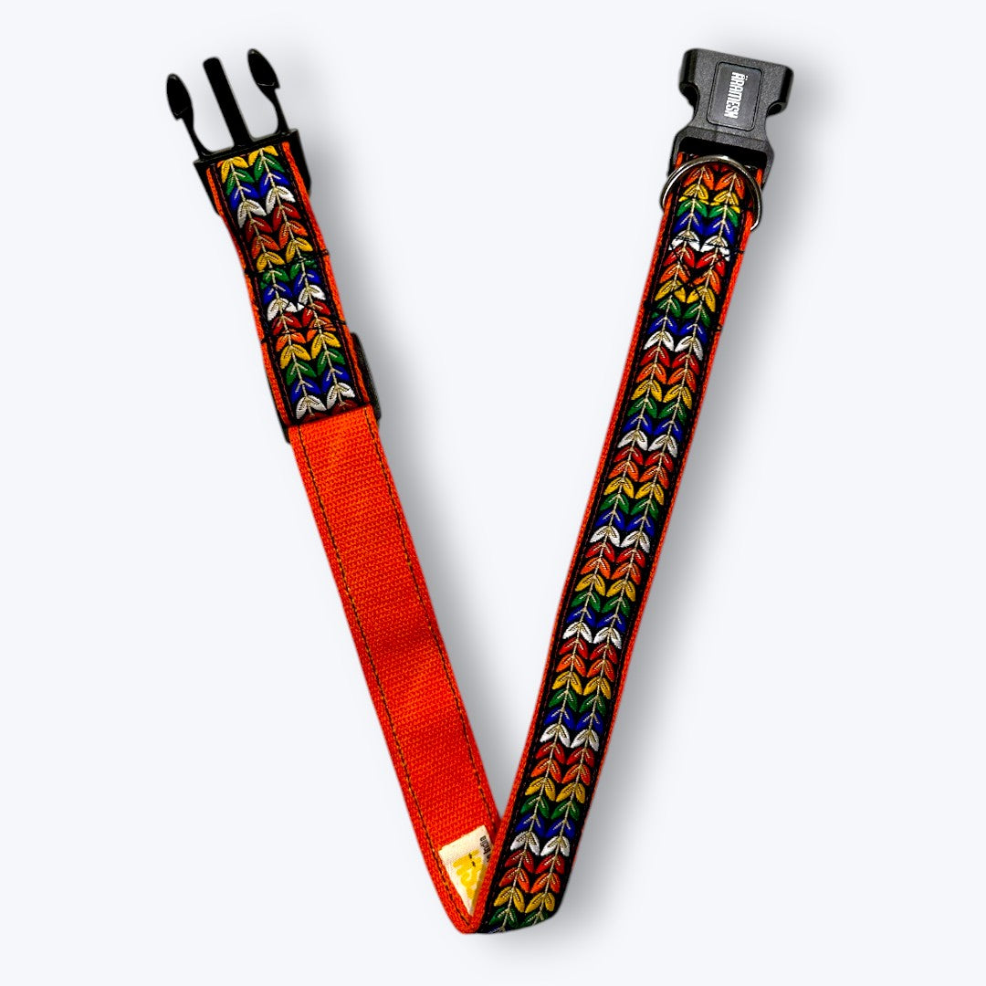 Colourful Trails Dog Collar