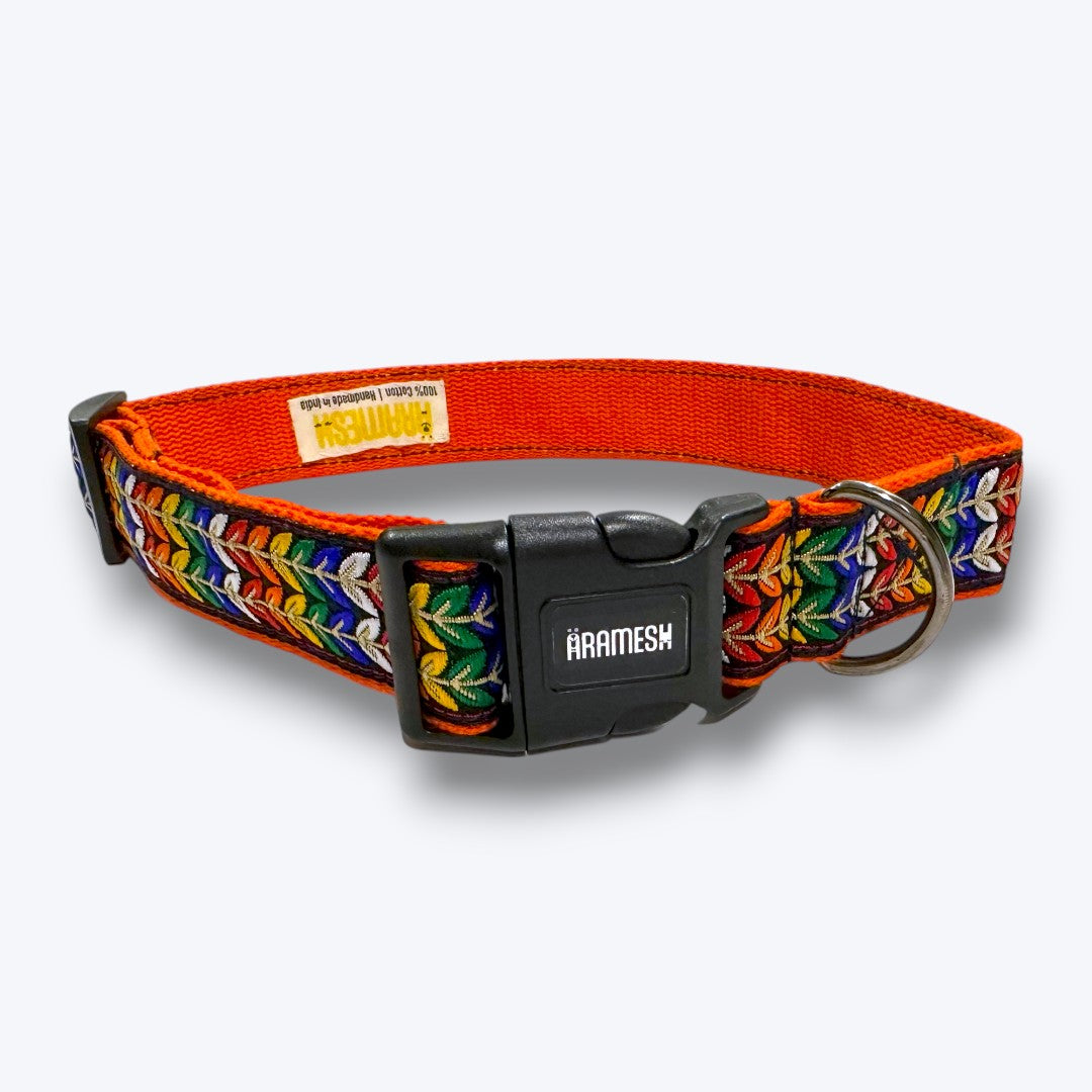 Colourful Trails Dog Collar & Leash