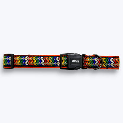 Colourful Trails Dog Collar