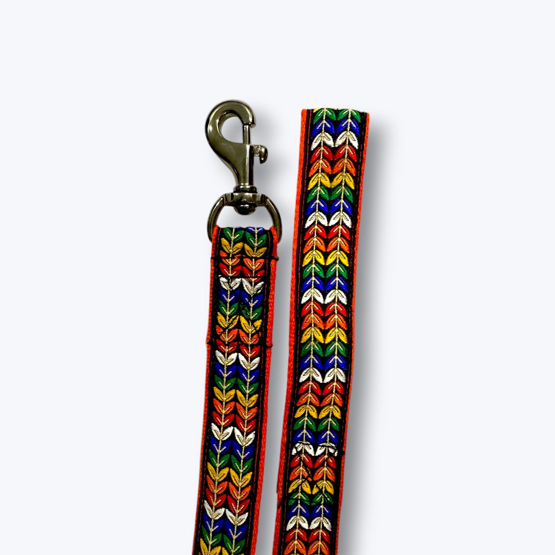 Colourful Trails Dog Collar & Leash