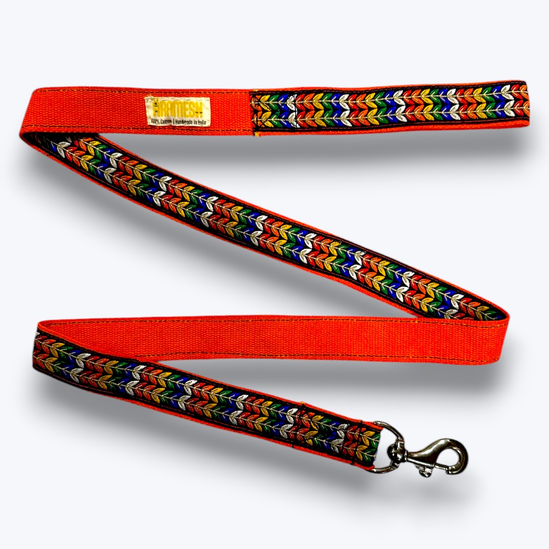 Colourful Trails Dog Leash