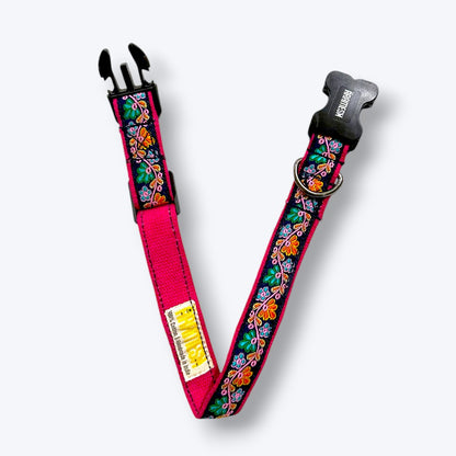 Electric Bloom Dog Collar