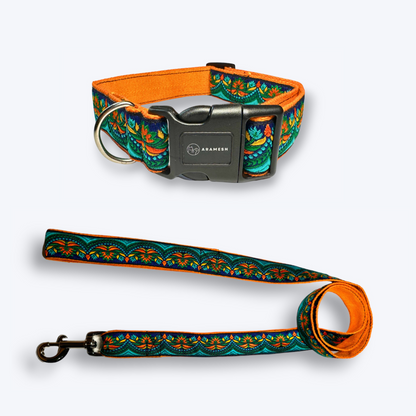 Fire & Ice Dog Collar & Leash