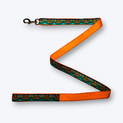 Fire & Ice Dog Leash