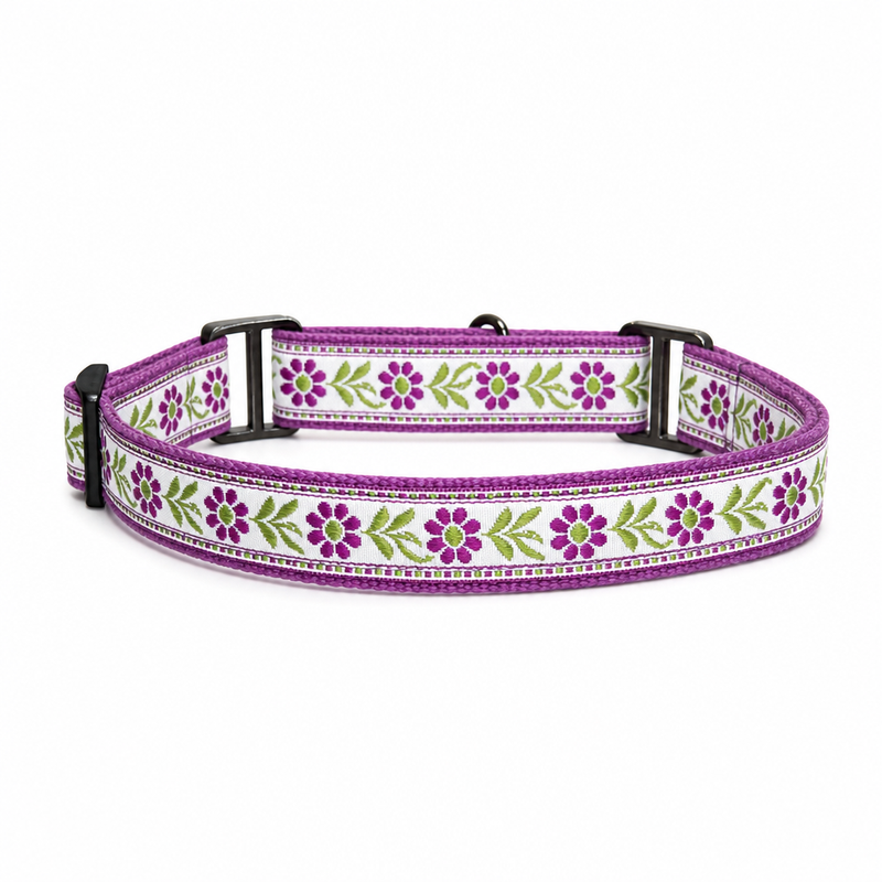 Martingale Dog Collar: Lavender Sunshine