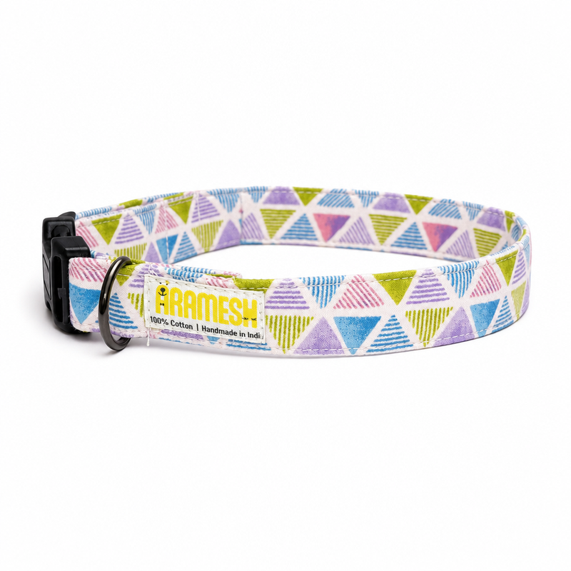 Play Date Dog Collar & Leash